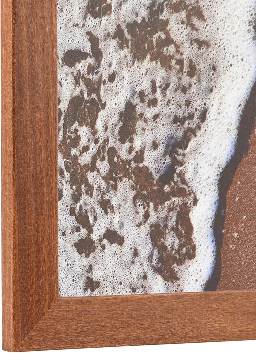 ArtToFrames 13x13 inch Walnut Stain on Beech Wood Picture Frame, 2WOM0066-81792-YWAL-13x13