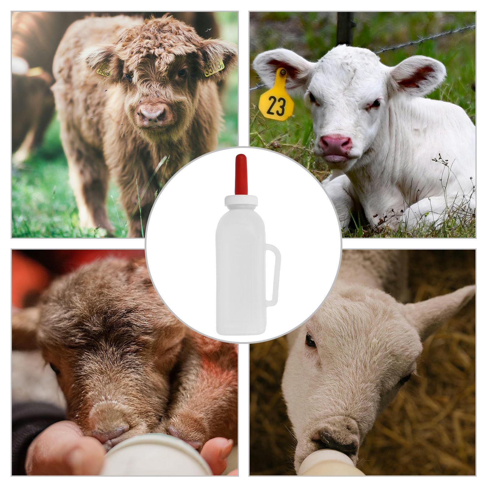 Ciieeo Biberons pour Veaux et Agneaux 2l à Long Col, Alimentation D’élevage en Ferme, Bouteille Légère et Portable en Plastique Solide, Tétine Adaptée pour Nutrition Précise et Survie