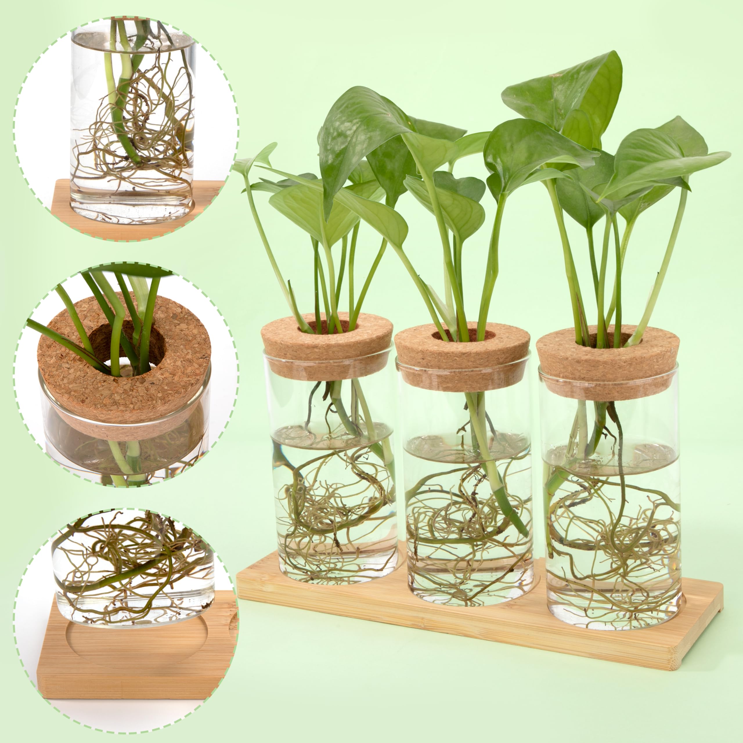 Stations de Propagation de Plantes Vases Hydroponiques avec Socle et Bouchons en Bois pour pour Plantes Aquatiques ou Fleurs 3 Pièces