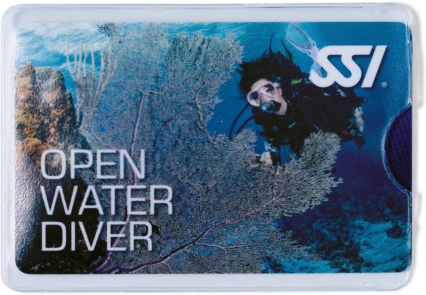 Herma ID Card Holder Protective ID Card Holder 58 x 87 mm Transparent