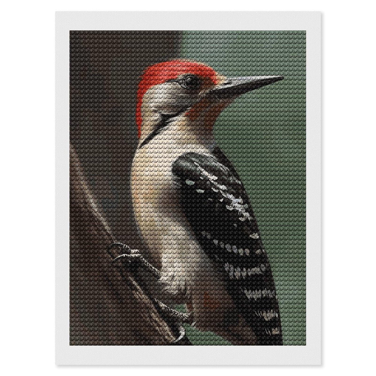 DWVTSLH Woodpecker Diamond Painting Kits for Adults, Personalized Diamond Photo Art Full Drill, DIY 5D Diamond Art Painting Kits for Beginners, Home Wall Decor 12"x16"