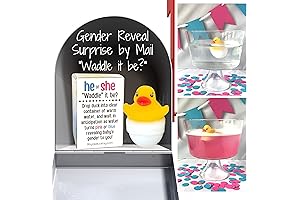 Waddle It Be: Gender Reveal Rubber Ducky Fizziness Fun!