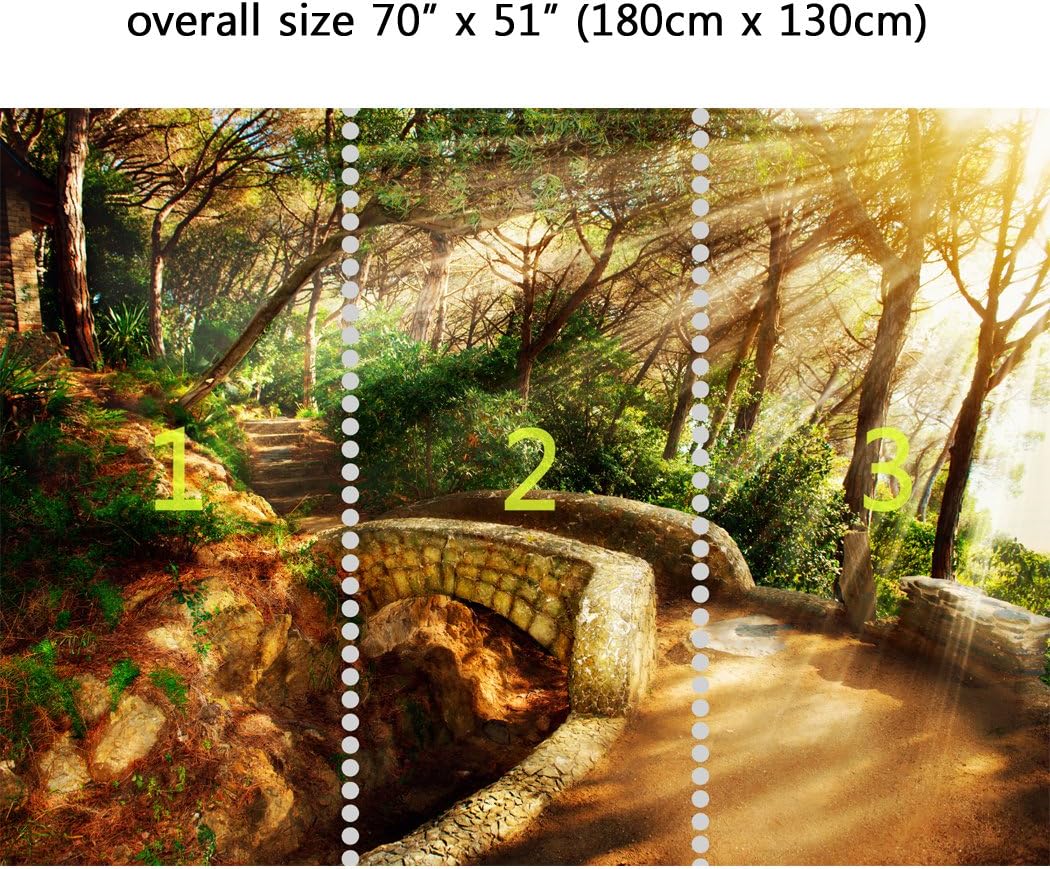 Wall Mural Mystical Pathway, Peel and Stick Repositionable Fabric Wallpaper for Interior Home Decor (70 x 51 inches)