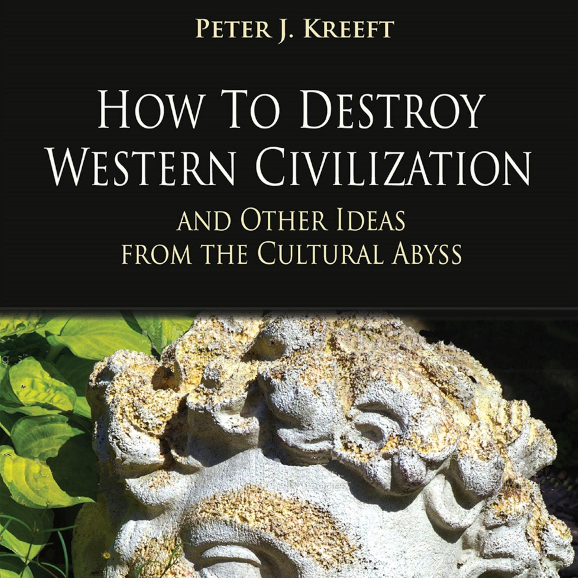 Cover art for How to Destroy Western Civilization and Other Ideas from the Cultural Abyss