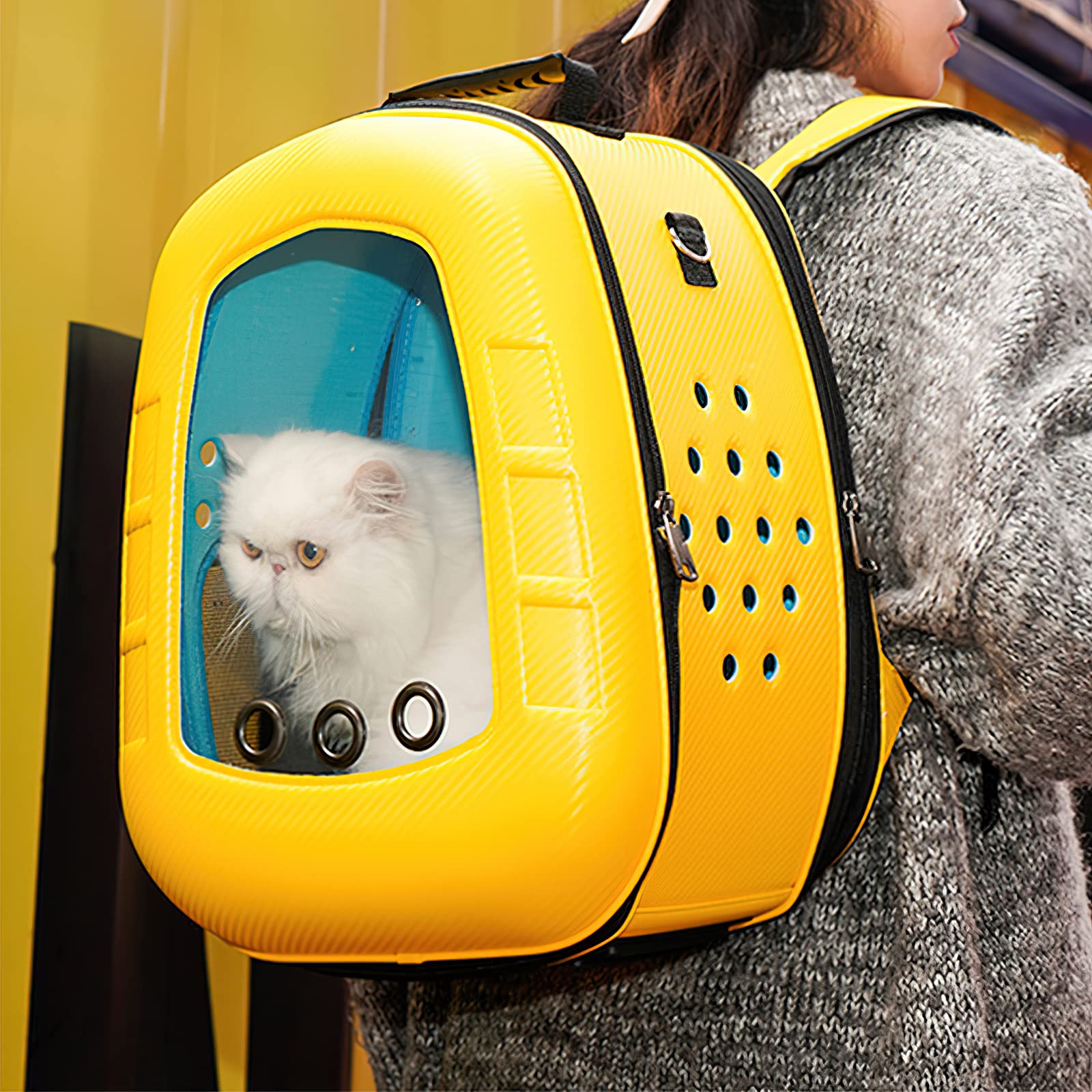 BOSERMEN Cat Carrier Backpack, Bubble Cat Backpack Carrier, Foldable Breathable Pet Backpack for Kittens and Puppies, Designed for Travel, Hiking, Walking and Outdoor(Yellow)