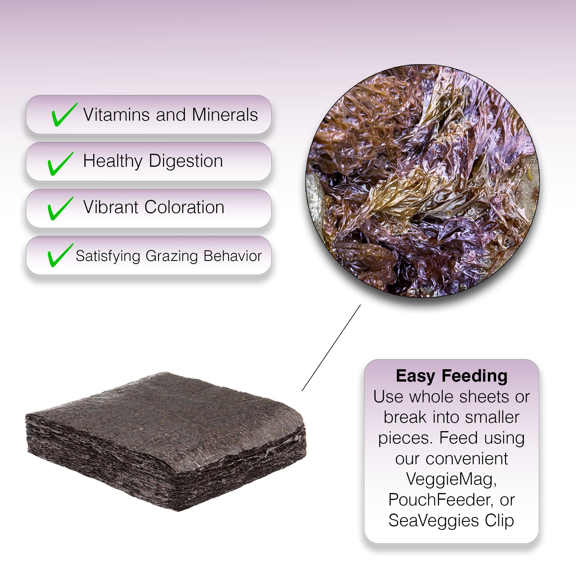 TWO LITTLE FISHIES Atlsvpsb Sea Veg-Purple Seaweed Bulk, 100 Fogli