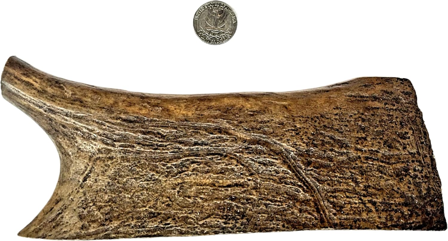 The Large Moose Paddle Antler Dog Chew