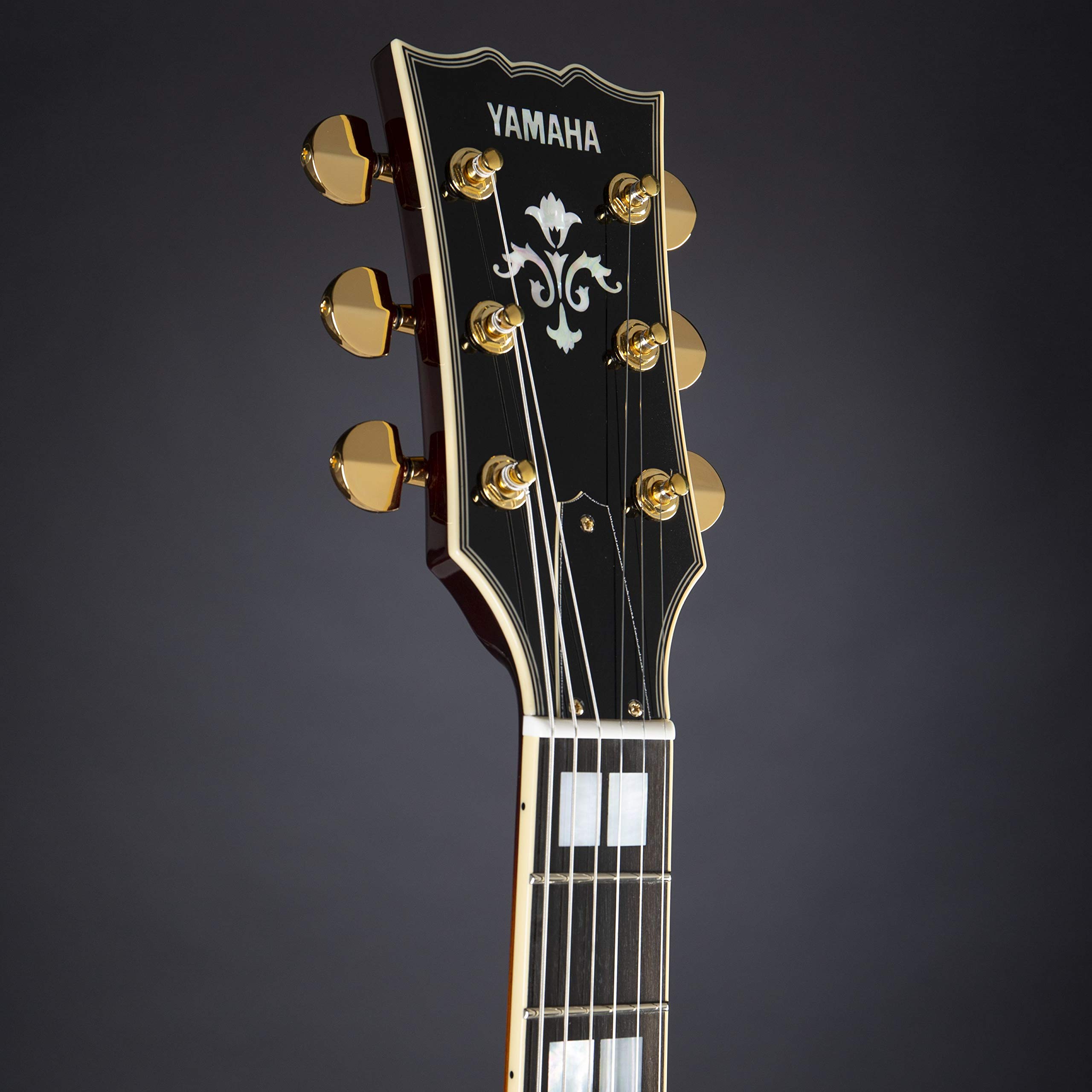 ギター YAMAHA SA2200 Amazon.com: Yamaha SA2200 Semi-Hollow Electric Guitar