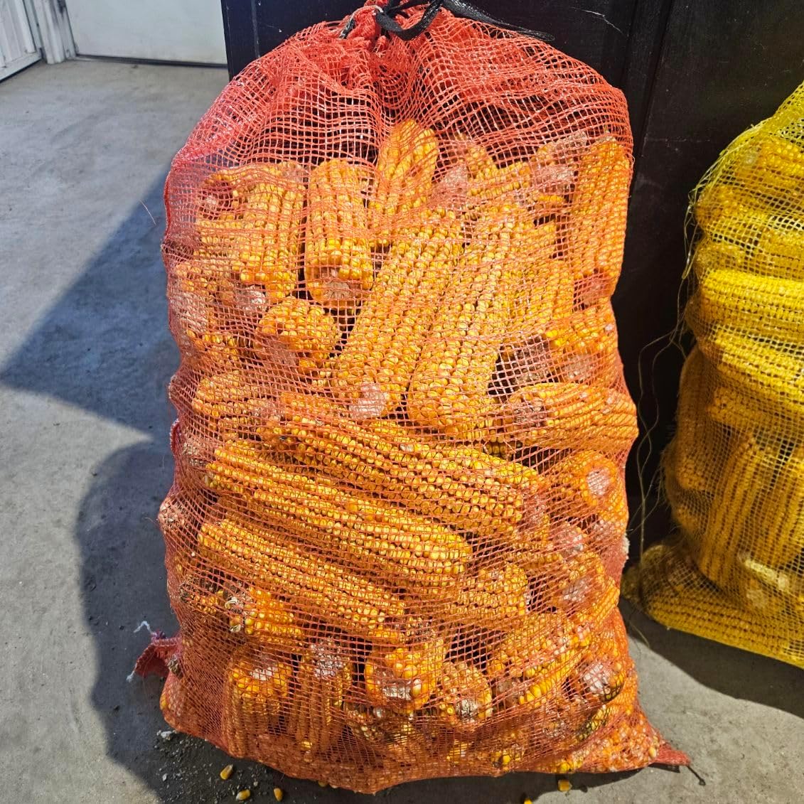 40 lb Bag of Ear Corn for Deer, Rabbits, Squirrels