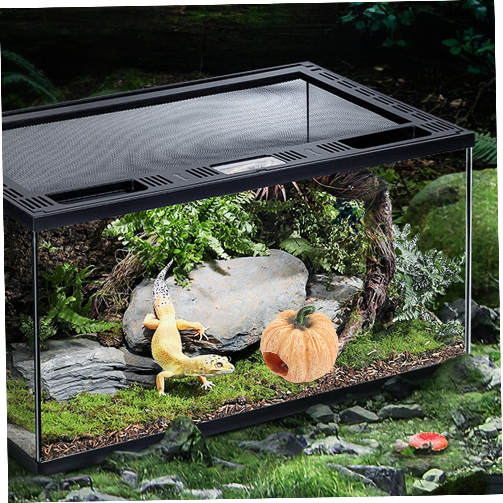 POPETPOP 2stücke Aquarium Dekoration Kürbis Für Fischbecken Attraktives Landschaftsaccessoire Und Versteck Für Fische Und Garnelen Für Terrarien Und Aquariengestaltung