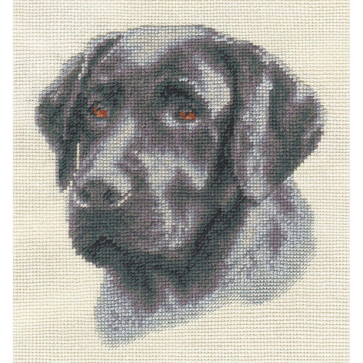 PANNA Black Labrador Cross Stitch Kit