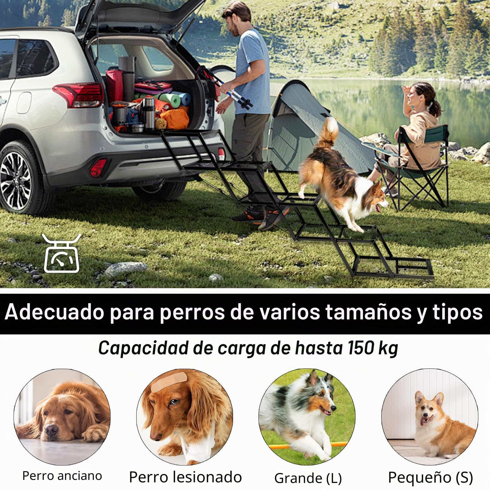 Rampa para Perros, Escaleras Perros 5 Peldaños Rampa Plegable Coche Perros Pequeños Medianos Y Grandes Escaleras Antideslizantes para Camiones Y SUV Soporta hasta 100Kg 35-90cm Altura Ajustable