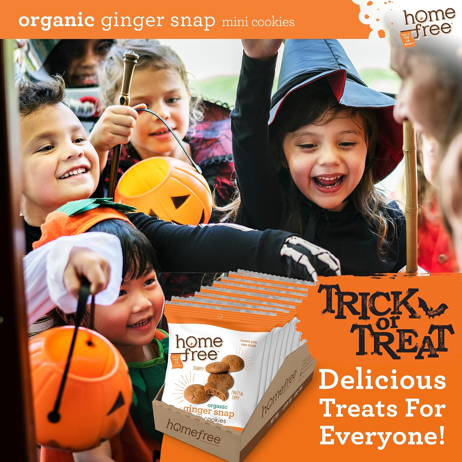 Homefree Organic Ginger Snap Mini Cookies, 0.95 oz (Pack of 10) image 3