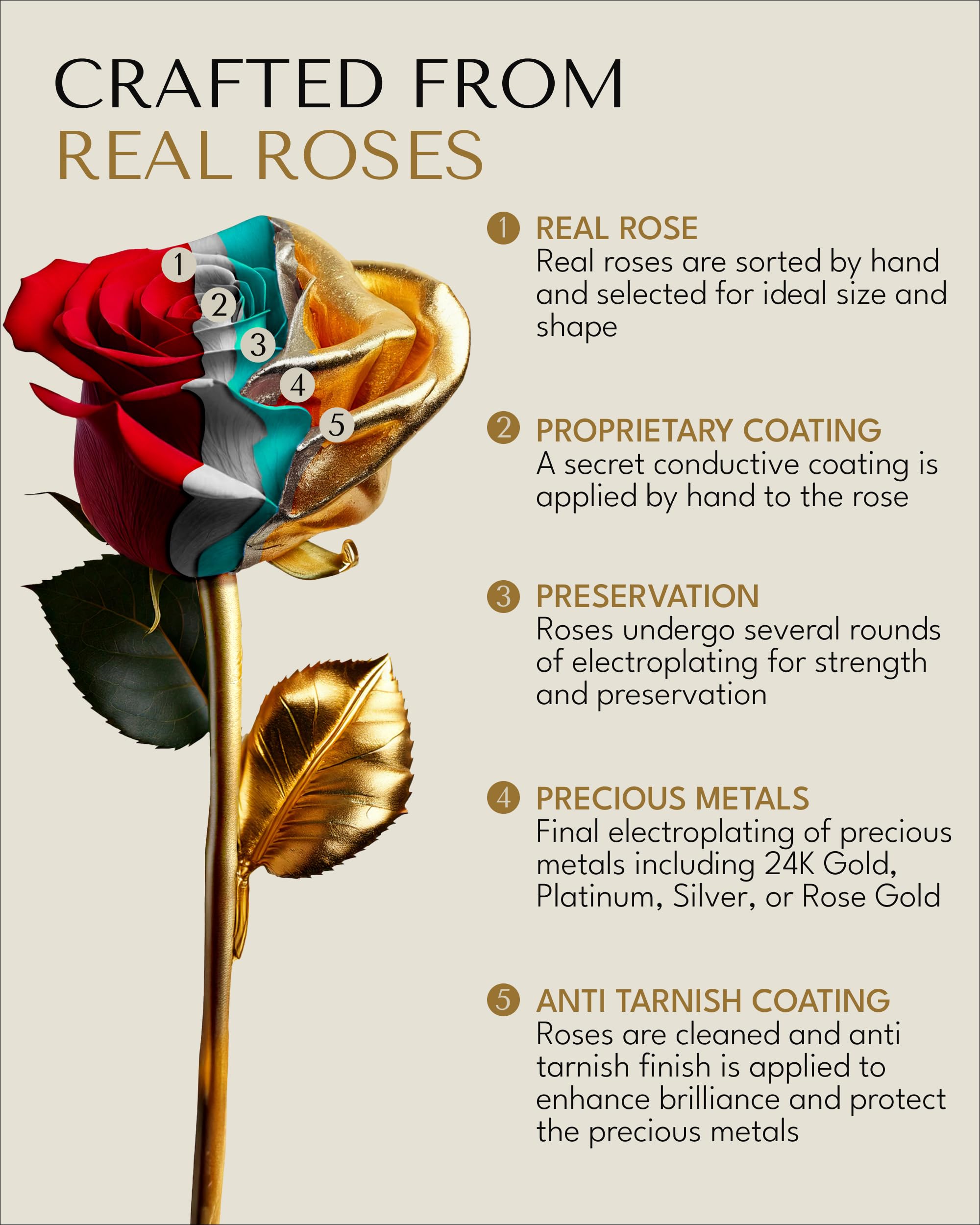 Forever Rose 24K Gold Dipped Real Rose Handmade in Bloom Box & Vase | Long Lasting Romantic Gift for Anniversary Valentines Day Mothers Day Birthday Wedding Wife Girlfriend product thumbnail 4
