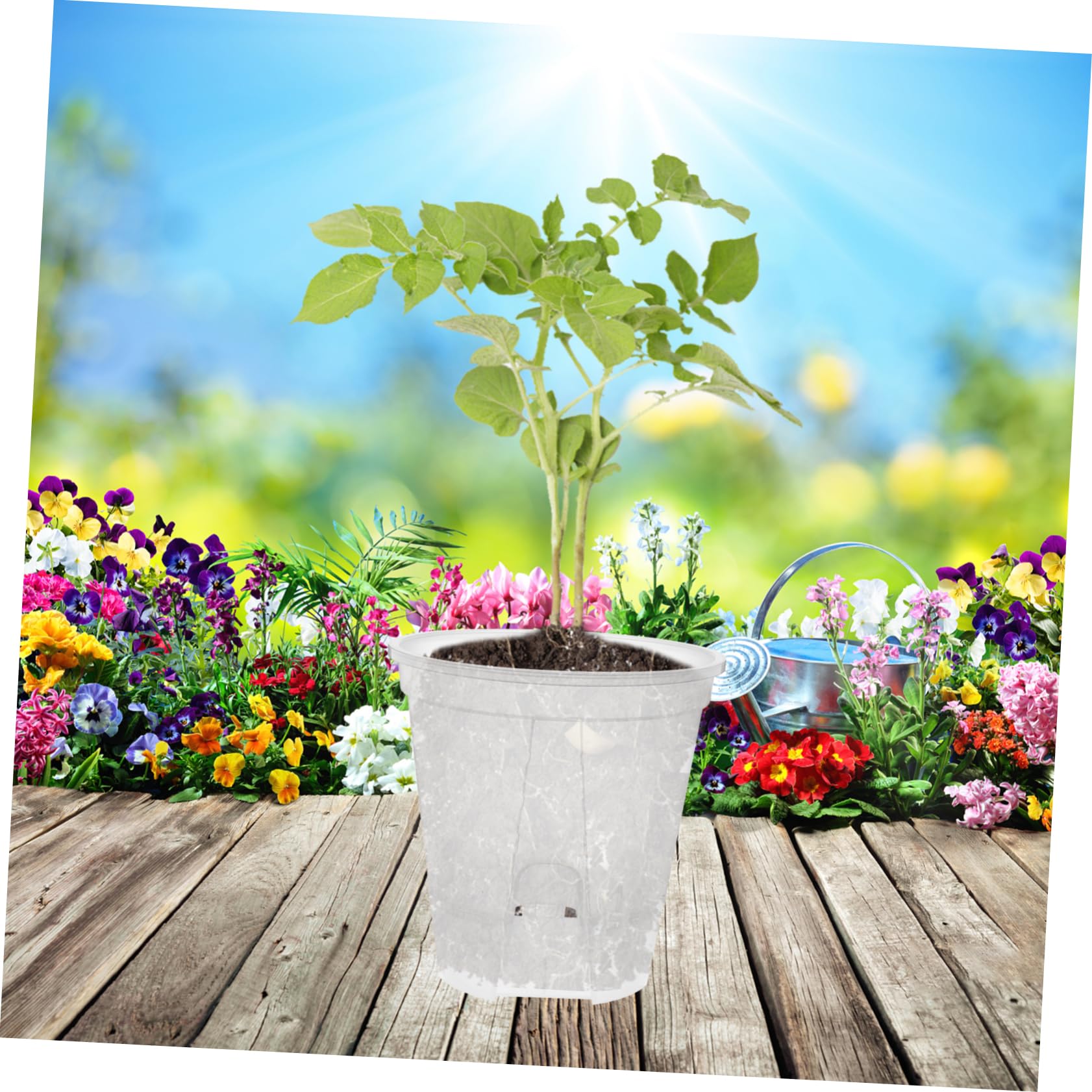 Mipcase Lot De 6 Pots De Fleurs Dorchidées Auto-drainants en Plastique avec Trous De Drainage Pots De Plantes Dintérieur pour Pépinière Arrosage Facile