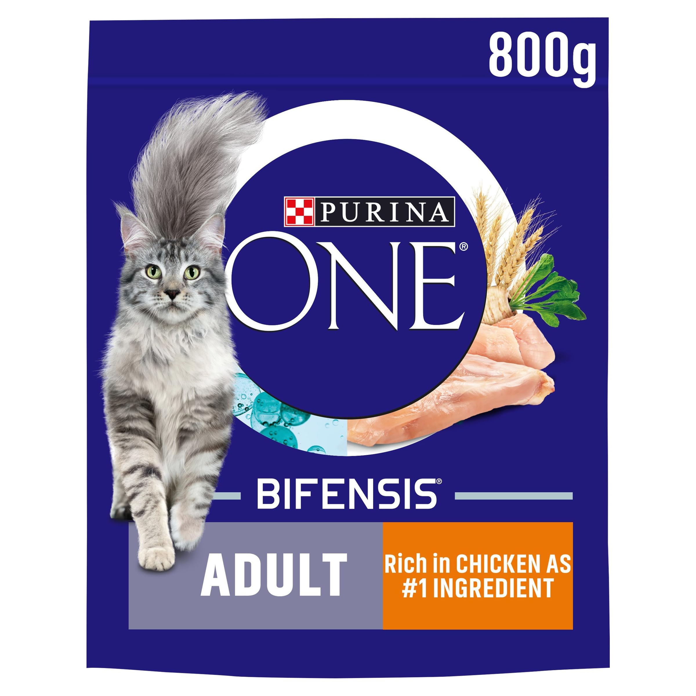 Purina One Adult Complete Dry Cat Food with Rich in Salmon and Wholegrains, 800G
