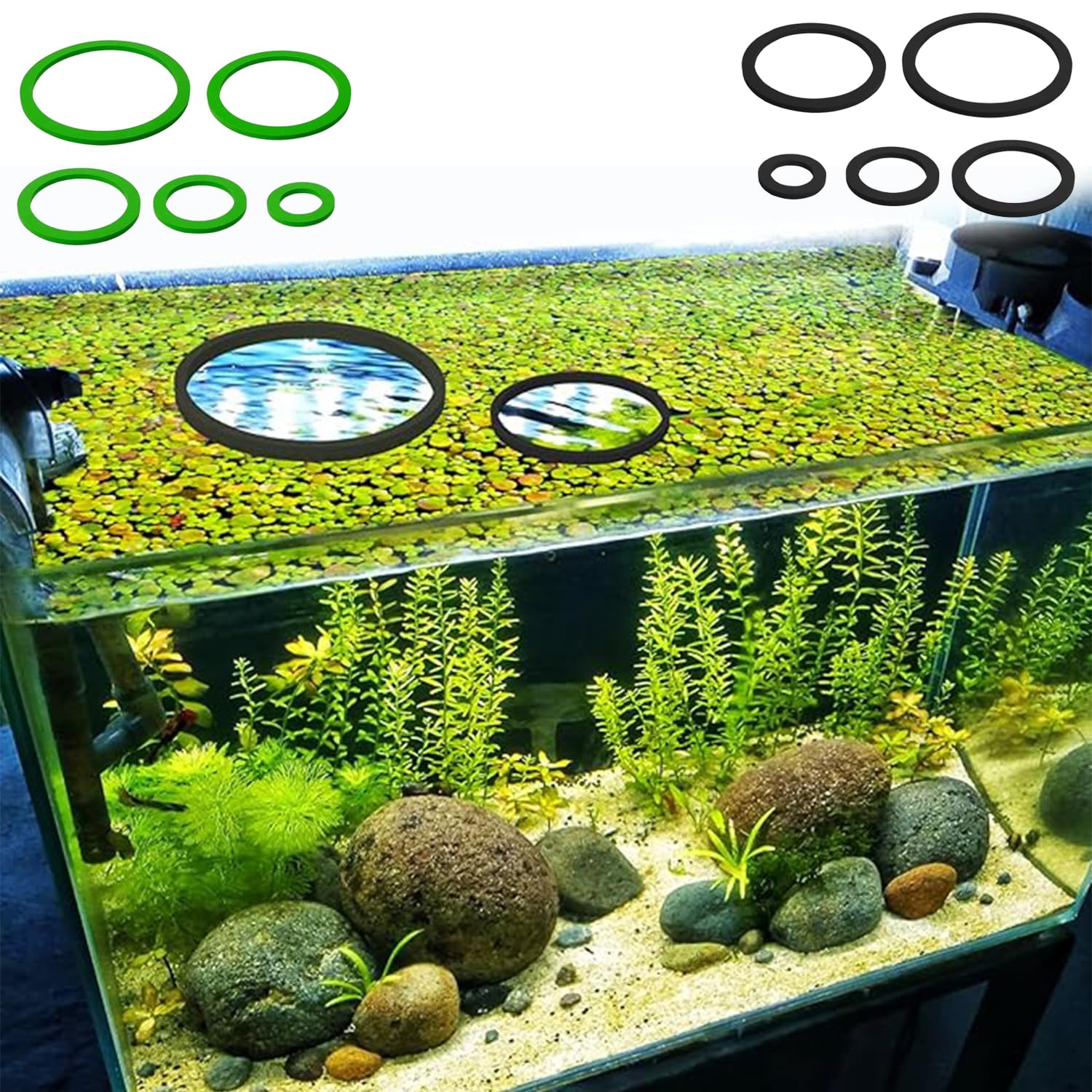 Anelli Di Piante Galleggianti 10 Pezzi, Anello Galleggiante Rotondo Per Acquario, Recinto Per Piante Galleggianti Per Pesci Rossi Tartarughe Nero e Verde