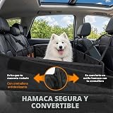 Ver la foto 6