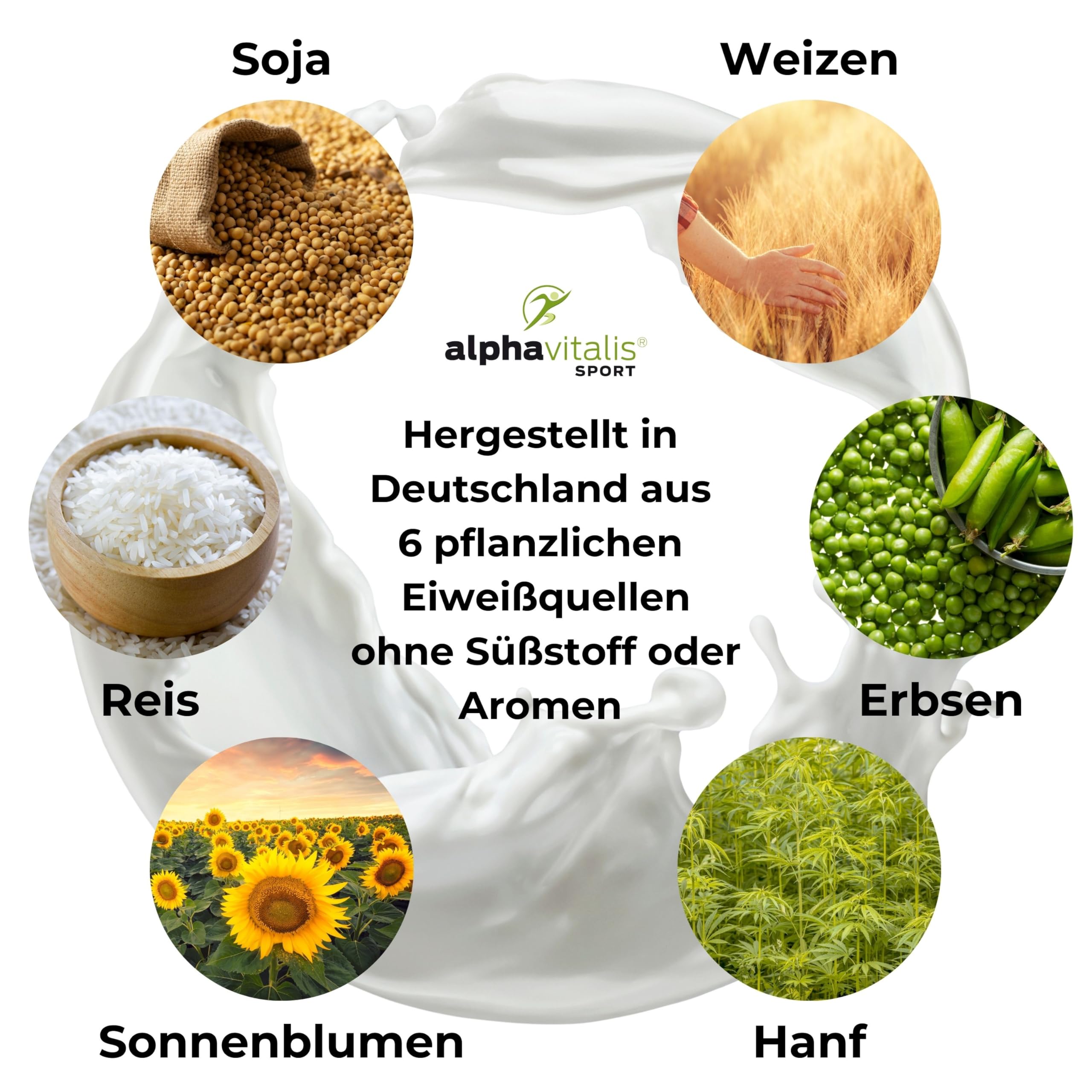 PROTEINPULVER VEGAN Neutral ohne Süßungsmittel- 6K Mehrkomponentenprotein 1 Kg pflanzlicher Eiweiß Shake zuckerfrei fettfrei laktosefrei - ideal zum Kochen & Backen - Eiweißpulver vegan ohne Süßstoff