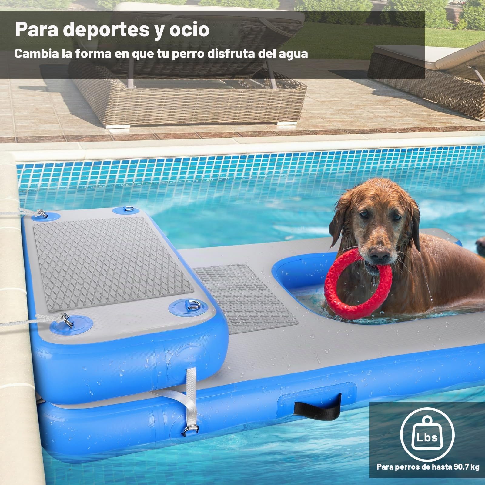 Rundik Flotador inflable de piscina para perros, rampa de barco para perros, superficie duradera resistente a pinchazos que garantiza un acceso seguro y fácil al agua para perros, escalera flotante