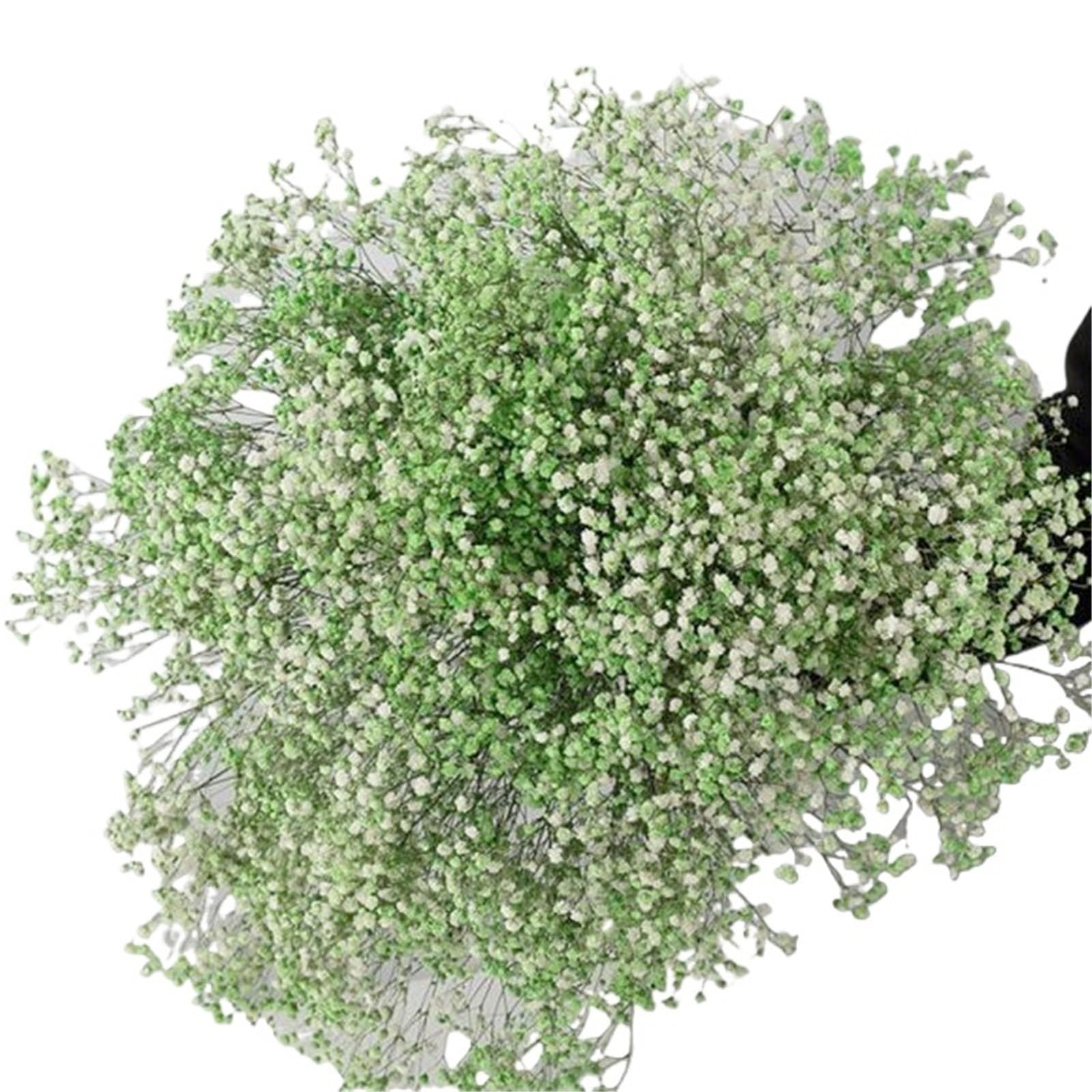 LuoAXINN Artificial Flower Branches Artificial Flowers Flower Bouquets For Wedding Decoration(Green,50g)