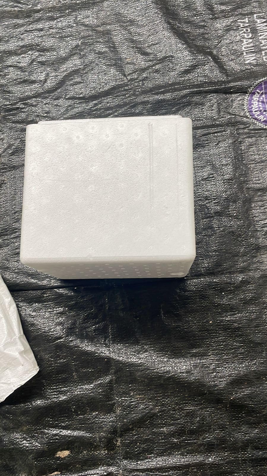 MPACK Thermocol Chiller Ice Box 10 LTR | Ice Box | 10 litres-image-11