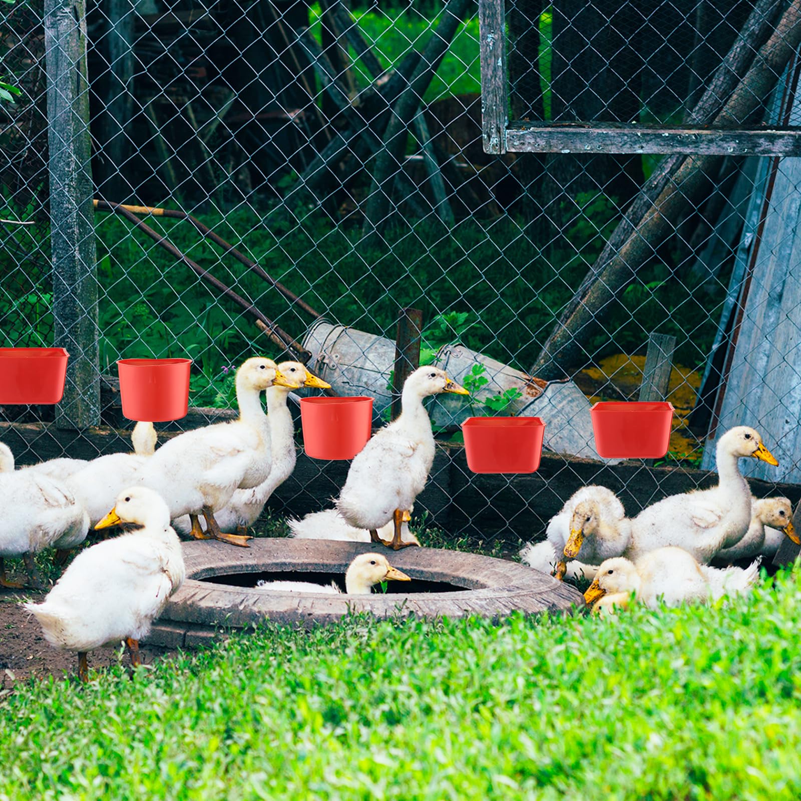 FillTouch 50 tazas de jaula de 4.9 x 3.7 x 2.4 pulgadas, comederos de pollo, 3.2 x 3.2 x 2.4 pulgadas, tazas de jaula colgantes para pájaros, tazas de agua para pollo, cuencos de semillas, tazas de