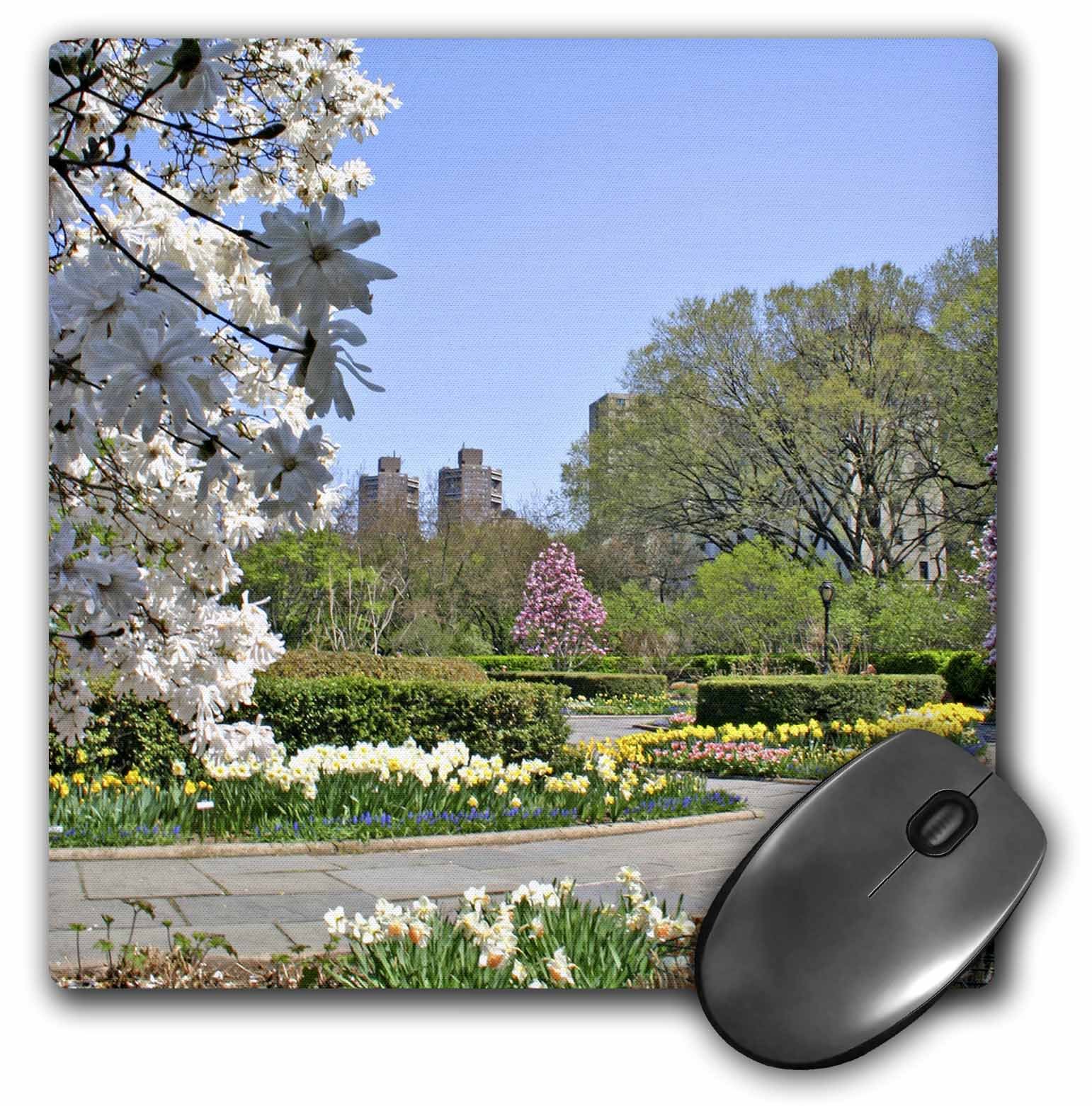 3D Rose "Conservatory Gardens Central Park New York CityUs33 Mgi0037Mark Gibson" Matte Finish Mouse Pad - 8 x 8" - mp_93110_1