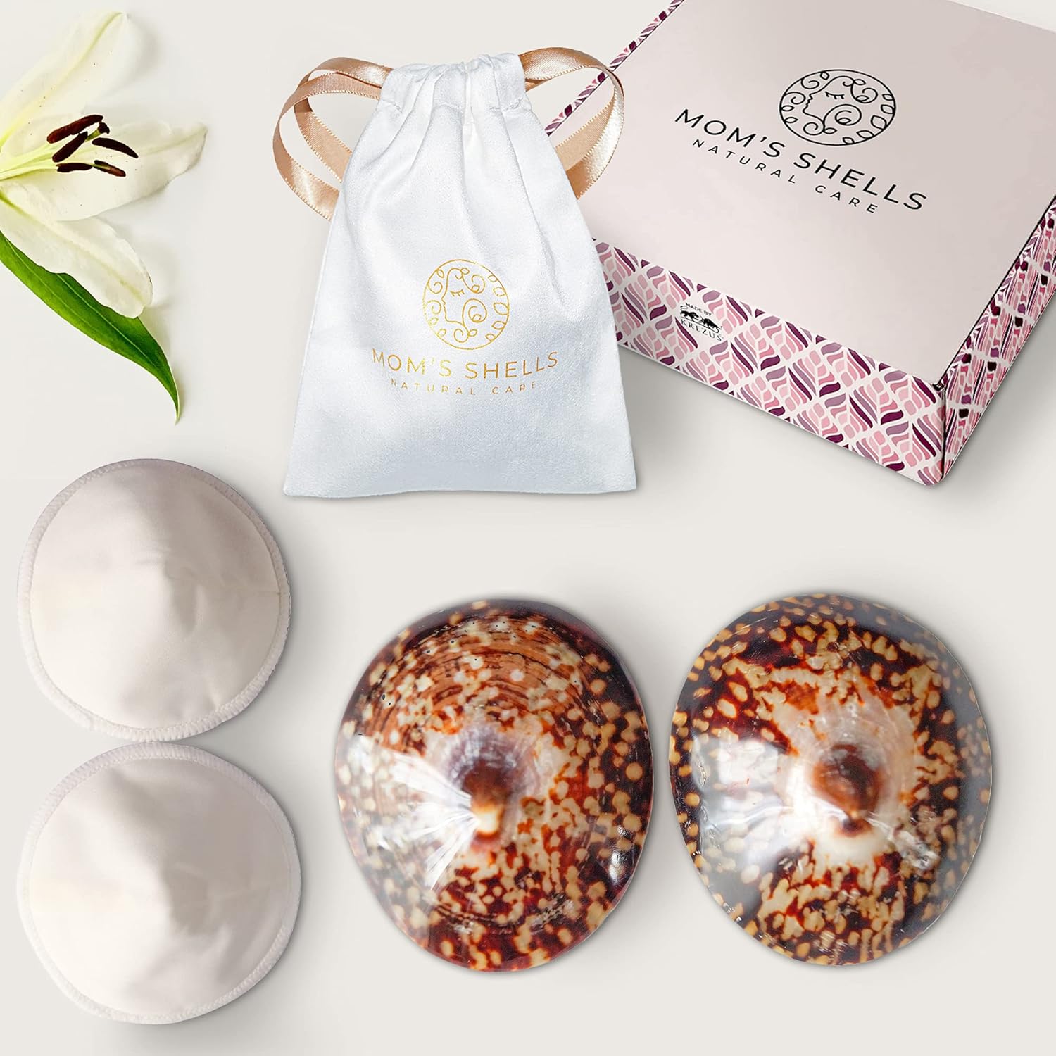 MOM'S SHELLS Coquillages d'allaitement Nacre