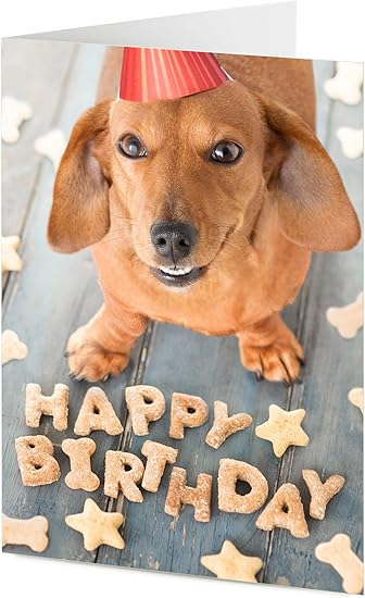 Chien Teckel Saucisse Arrange Doggy Friandises A Dire Joyeux Anniversaire Carte D Anniversaire Amazon Fr Fournitures De Bureau