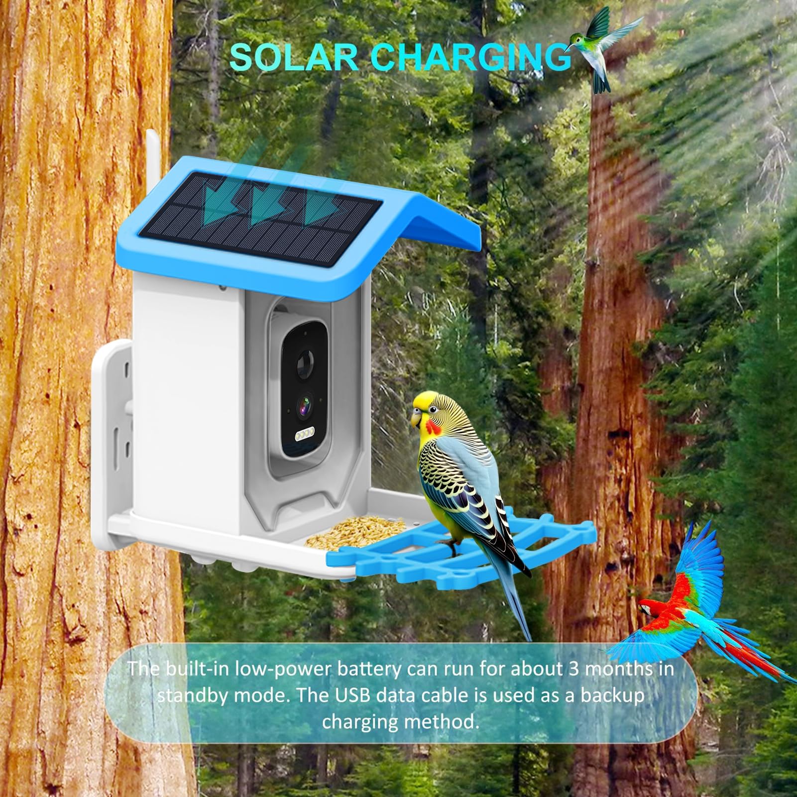 Comedero inteligente para pájaros con cámara, alimentador automático de colibríes con energía solar, comedero inalámbrico para pájaros al aire libre, regalo para amantes de las aves,