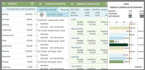 Networth2b Budget & Flow - Basic Edition