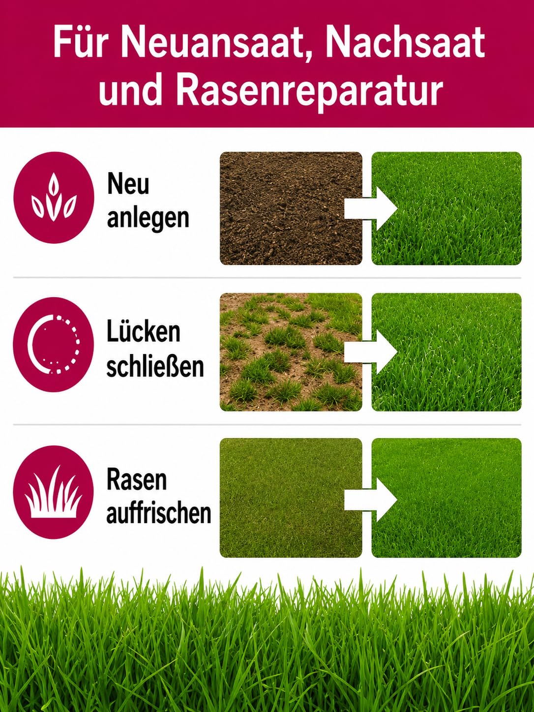 Sport- und Spielrasen Rasensamen 10 kg für ca. 250 m² – für Nachsaat & Neuansaat, schnellkeimender Spielrasen zur Rasenreparatur, strapazierfähiger und schnellkeimender Gartenrasen