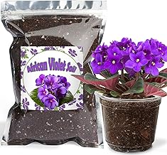 Organic African Violet Potting Mix, Indoor Plants Potting Mix for All Potted Saintpaulia, Grow Healthy houseplants Indoors