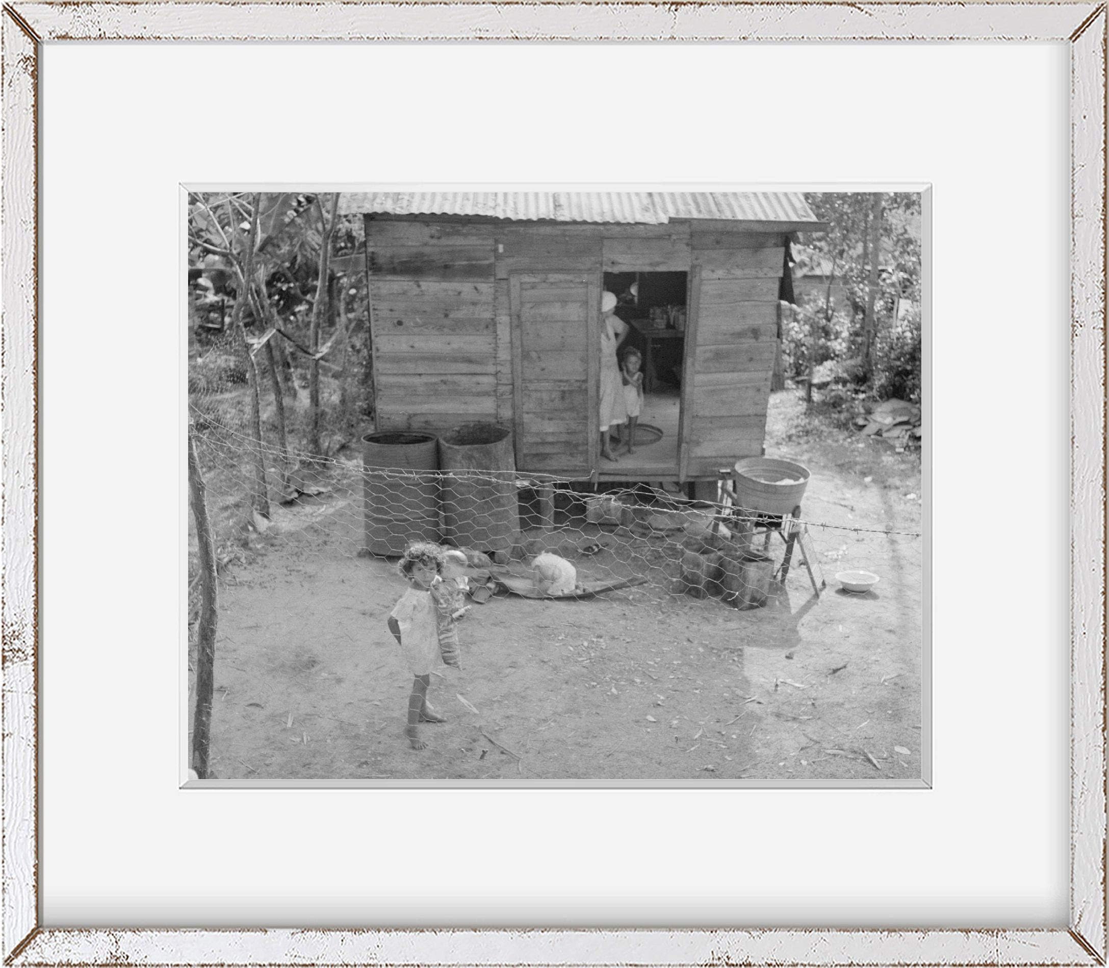 INFINITE PHOTOGRAPHS Photo: Bayamon,Puerto Rico. Children in a Backyard 1