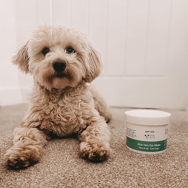 Foto 7 de 8 de Pet Wiz Toallitas de Ojos de Aloe Vera para Limpiar Perros y Gatos, Extra Grandes (1 bañera)
