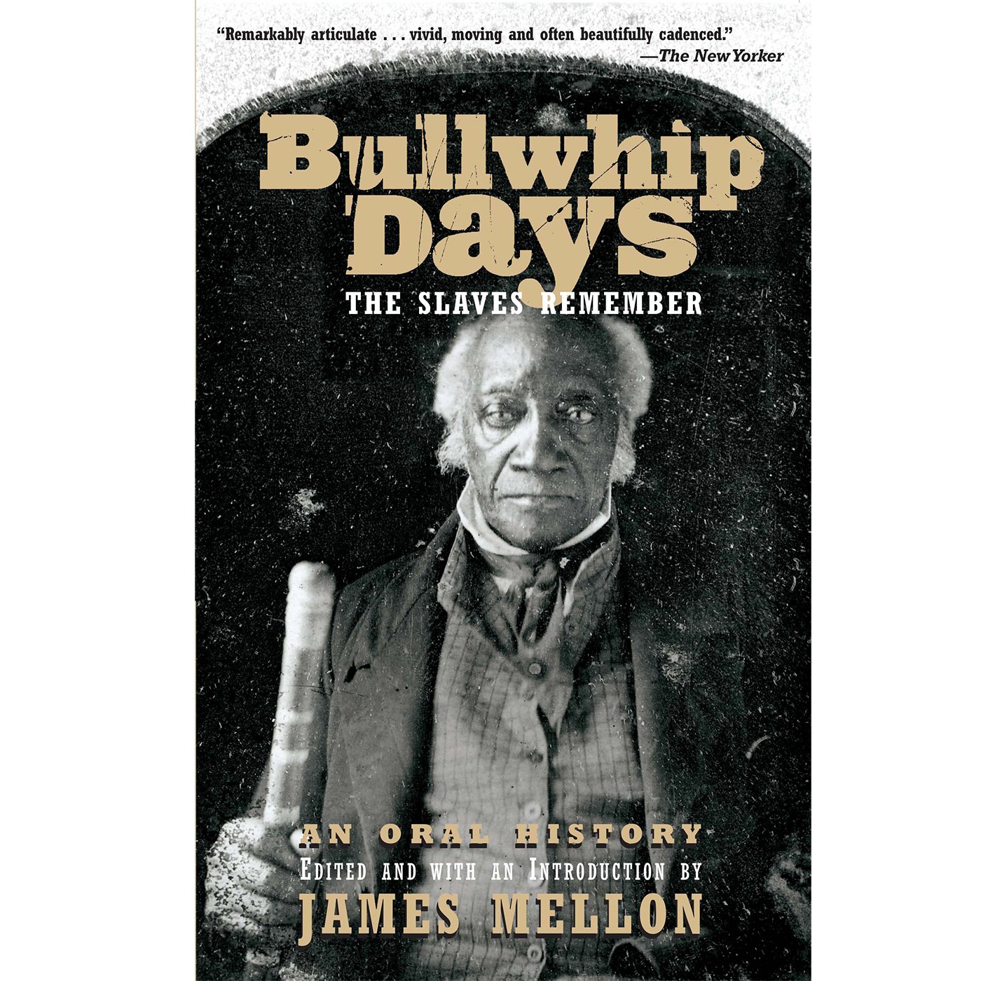 Cover art for Bullwhip Days