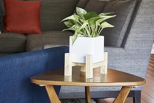 Miniatura 3 de Southern Patio Hemingway - Maceta cuadrada de cerámica para interiores con soporte de madera, color blanco