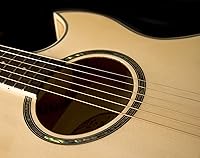 Vista 3 de Washburn Guitarra eléctrica acústica Festival EA20 (EA20-A)