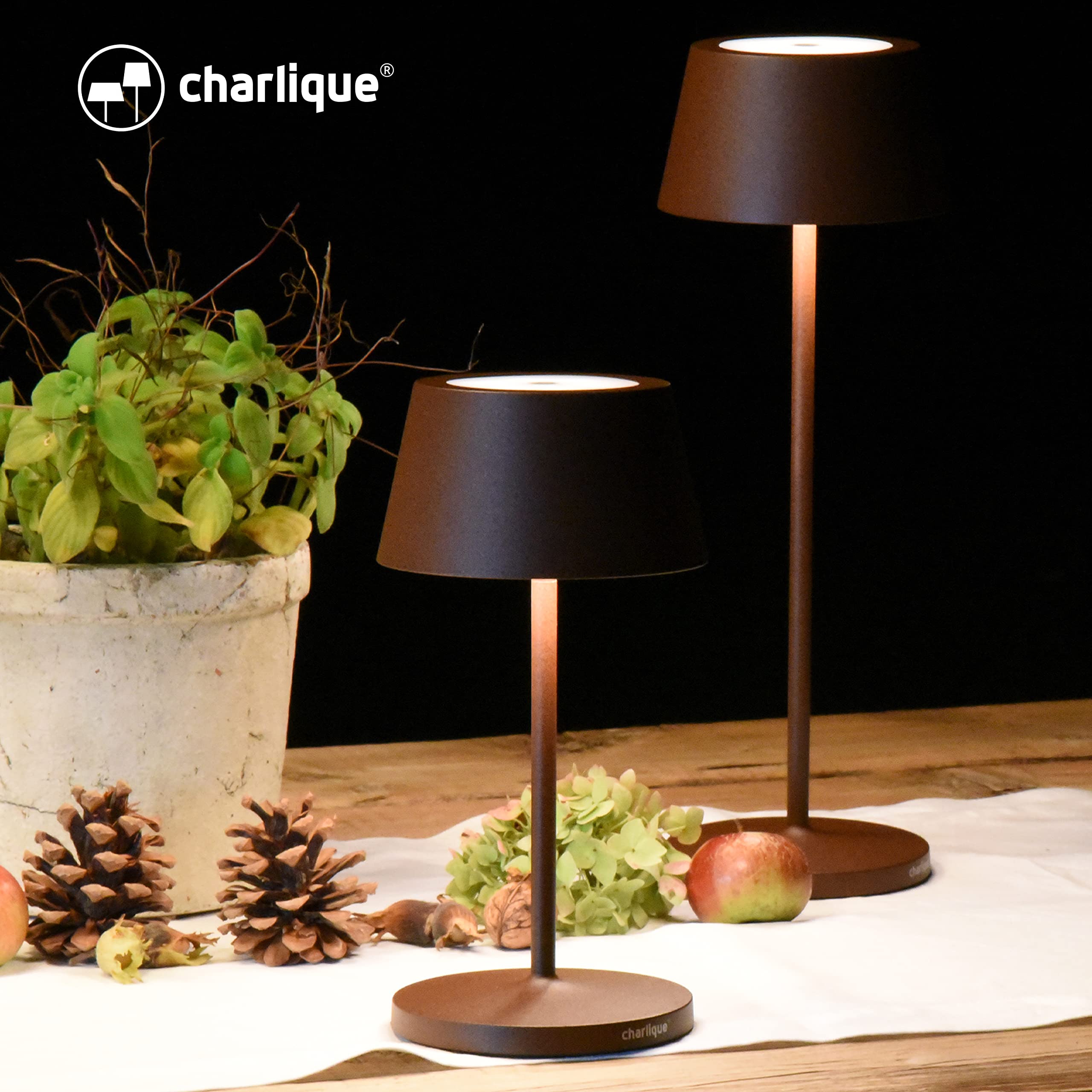 View 8