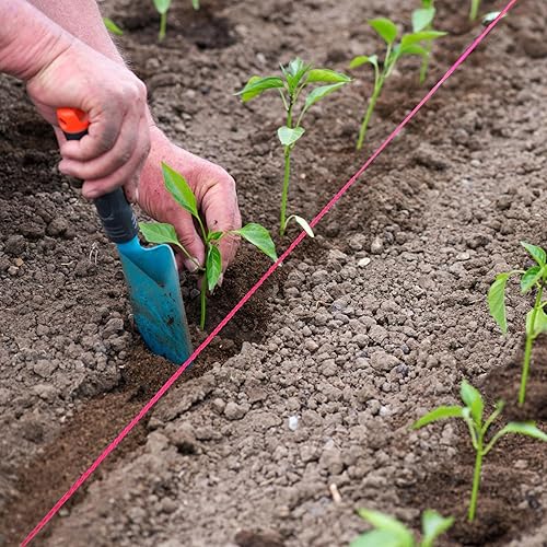 Miniatura 6 de HASWARE Mason Line - Cuerda de nailon trenzado para herramientas de jardinería o mampostería, nivel de línea de cuerda de construcción para jardín y