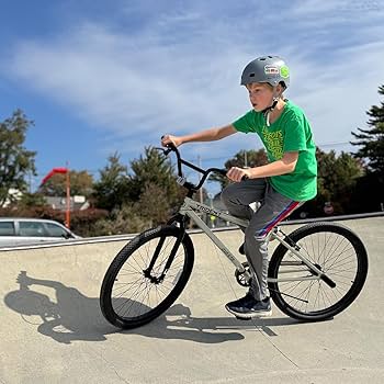 Amazon.co.jp: 【AVASTA】TRIDENT レースBMX自転車 BMX RACING