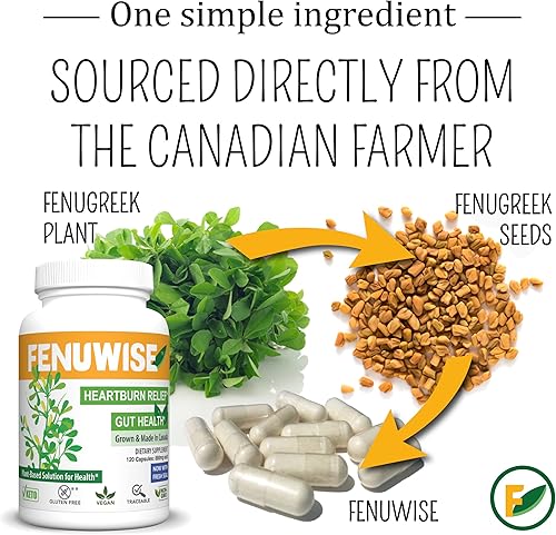 Miniatura 6 de Suplemento de cápsula de fibra natural de fenogreco para alivio del ácido - Suplemento dietético vegano premium que apoya la salud digestiva, 120