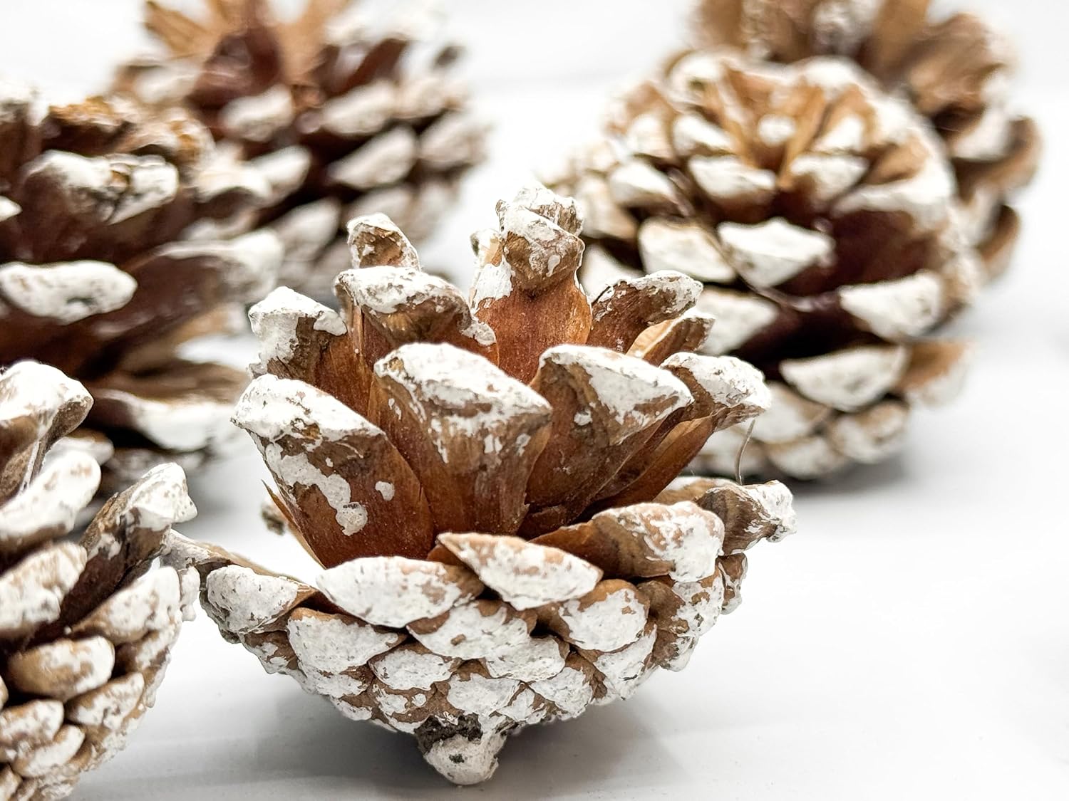 Black Duck Brand Assorted Pinecone Christmas Table Scatter! Glitter Frosted Winter-Themed Pinecones Perfect for Decorating for The Holiday Season! (90, Snow Tipped)