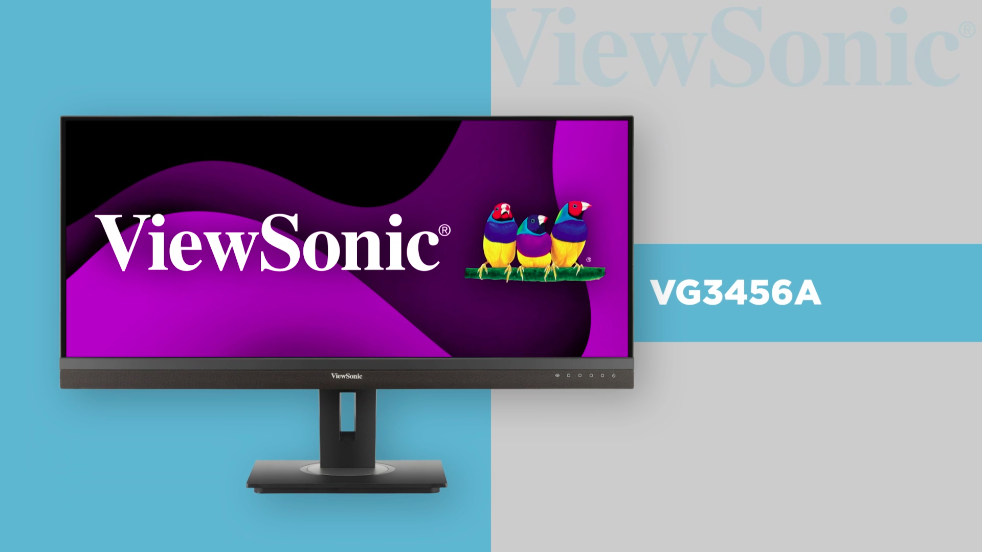Amazon.com: ViewSonic VG3456A 34 Inch 21:9 Ultrawide QHD 1440p IPS