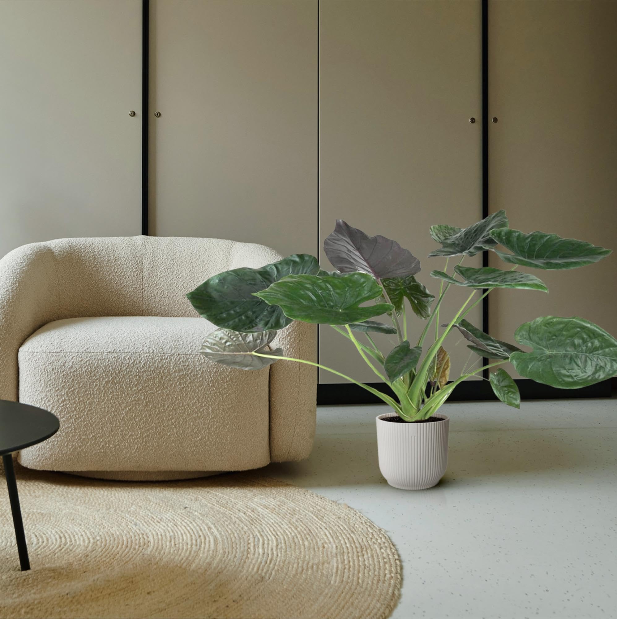 Roślina Alocasia Wentii, dekoracja wnętrz, zielono-fioletowa, 120 cm, ø32