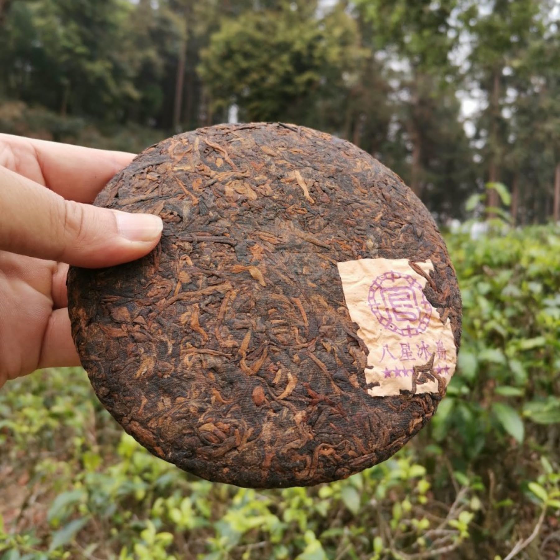 Herbata Pu 'erh Ripe, 8-gwiazdkowa Jakość. 200g Fermentowane Z Czystych Materiałów Ze Starożytnych Drzew