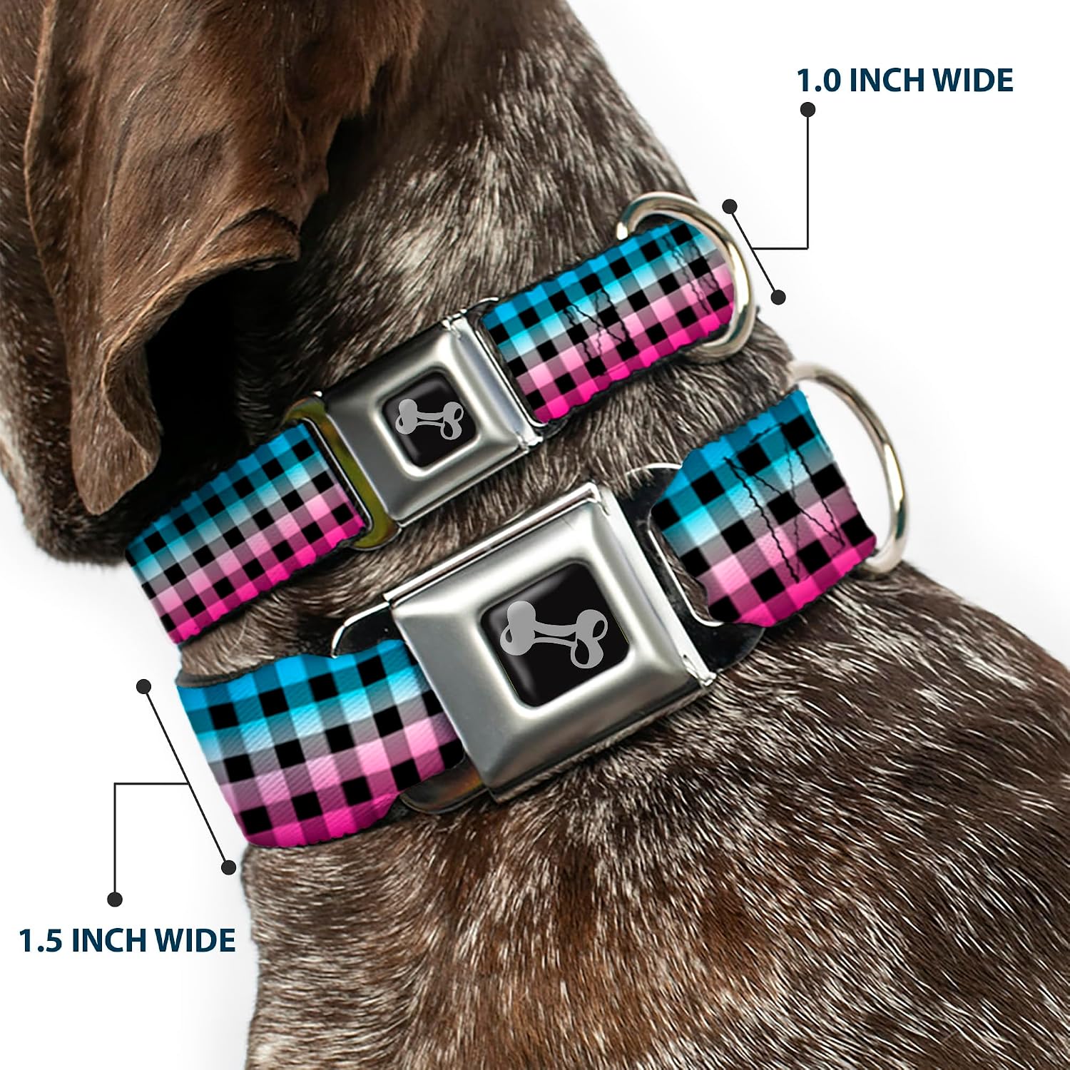 Buckle-Down Seatbelt Buckle Dog Collar - Buffalo Plaid Turquoise/Fuchsia Fade - 1.5" Wide - Fits 18-32" Neck - Large