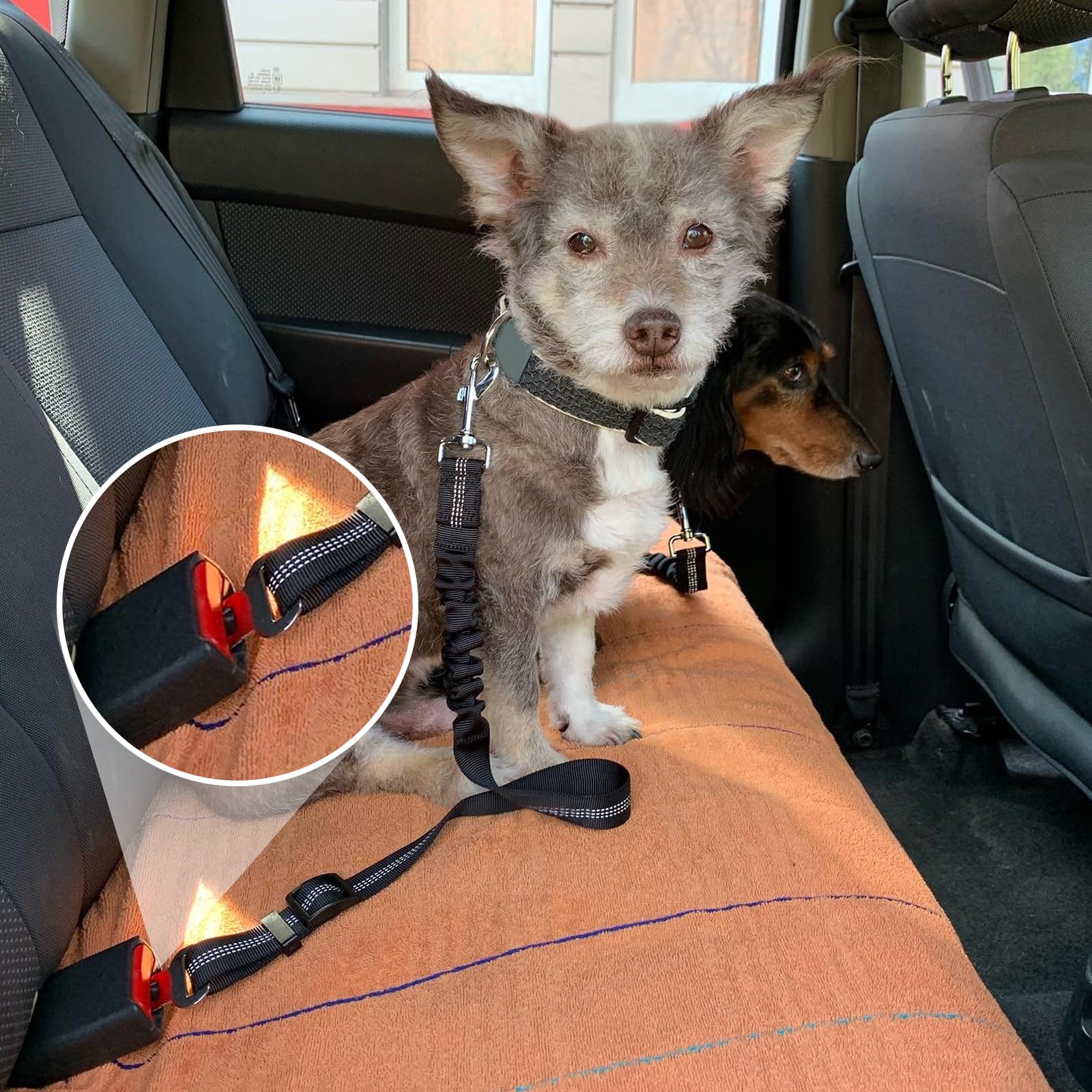 Gentpovth Ceinture et Harnais de Sécurité Universel pour Chien en Voiture - 2 Pièces, Indéchirable, Nylon Noir, Longueur Réglable - pour Tous Les Chiens et Chats