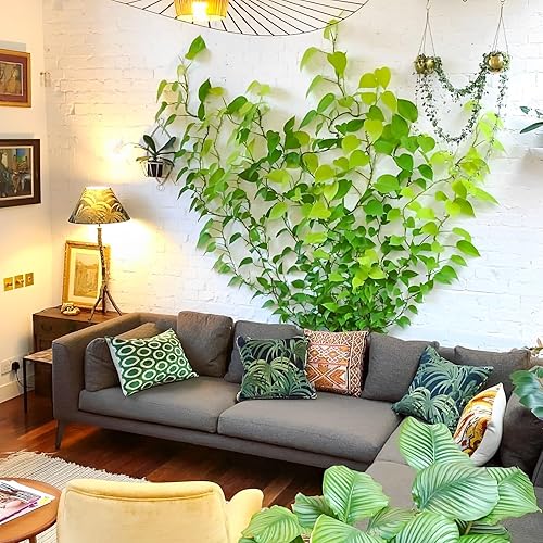 Miniatura 8 de GROWNEER 120 clips de pared para escalada de plantas, clips de pared de vid, clips de escalada de plantas con 72 calcomanías adhesivas acrílicas,